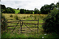 Damaged gate, Cranny