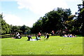 Play Area in Abbey Park Glastonbury