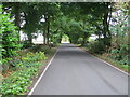 Wall and tree enclosed Long Lane, Roughbirchworth