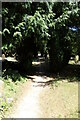SU1887 : St. Margaret's Churchyard Path, Stratton St. Margaret by Geographer