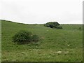 NX2161 : Rough grazing, Benlaight by Richard Webb