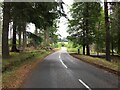 A944 near Roughpark