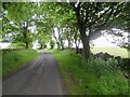 Road near Loch Ronald