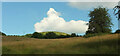 Field near Birches Farm