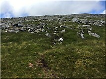 NH2271 : Path towards Beinn Liath Mhor Fannaich by Steven Brown