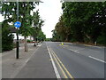 Dual use path beside London Road (A217)