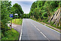 NH5532 : A82 Layby, Glenurquhart by David Dixon