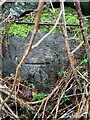 Benchmark on Llwyn Bleddyn Road, Rachub