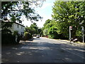 Bus stop on Milbourne Lane, Esher