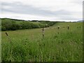 Fields beside the Cree