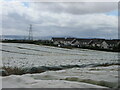 Covered field east of Longforgan