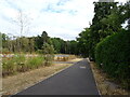 Path beside the B3015, Heatherside Corner