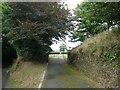 Nankilly Farm - Gated entrance and drive