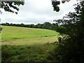 Field to the south of Ladock