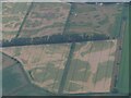 Cropmarks on fields NW of Lakenheath: aerial 2022 (2)