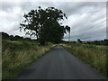 Minor road near Lockerbie