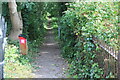 Path from High Street into Granny