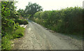 Lane past Lower Vinesend Farm