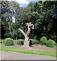 Tree stump, Crow Nest Park, Dewsbury