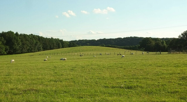 Sheep pasture, Lower Vinesend Farm by Derek Harper