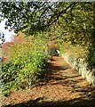 Stoney Lane in Autumn