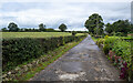 D0401 : Lane near Ahoghill by Rossographer