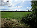 Grass field at the top of Wolds Hill