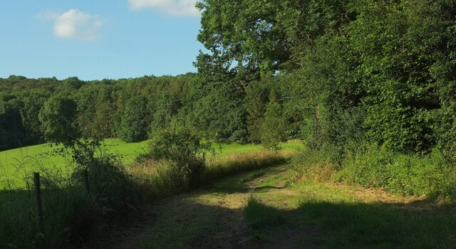 Footpath towards Storridge by Derek Harper