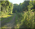 Path towards Cradley