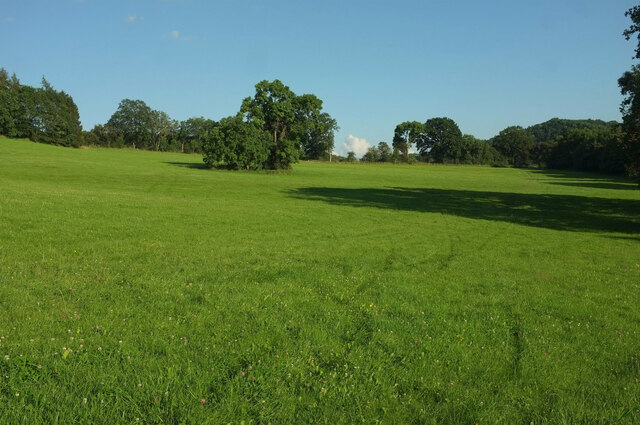 Field by Whitman's Hill Coppice by Derek Harper