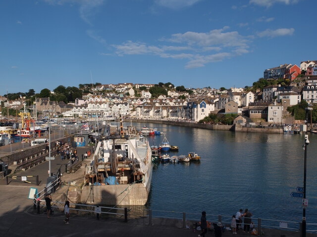 Brixham Harbour from Overgang Steps