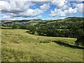 Dyfi Valley towards Cemmaes