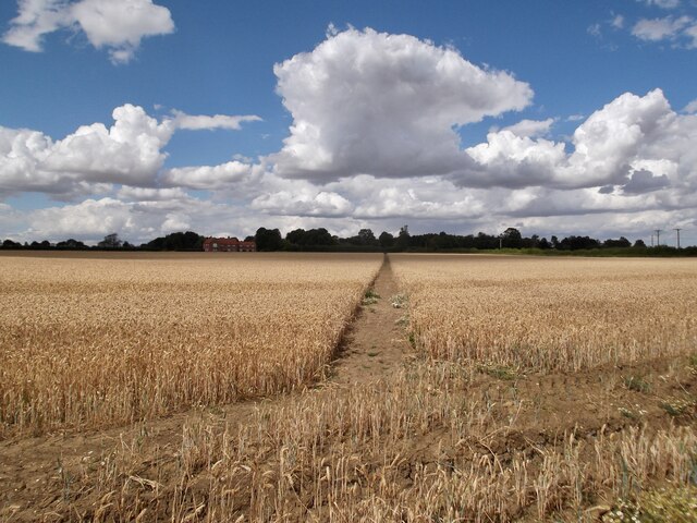 Field path near Langton by Wragby