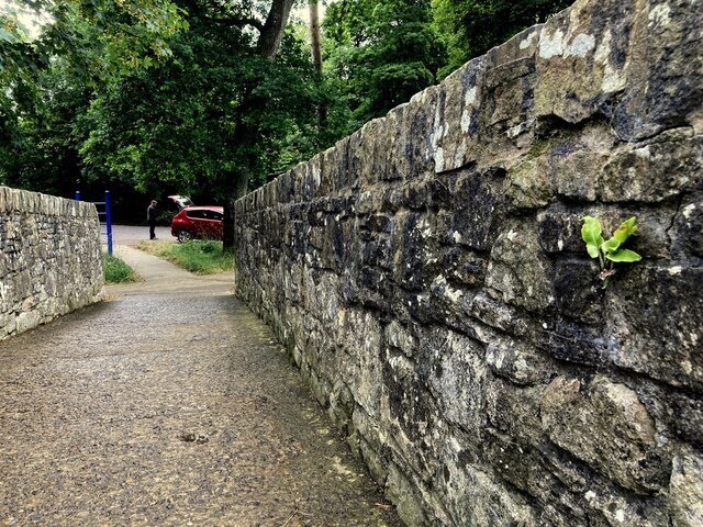 Footbridge wall, Mullaghmore / Cranny