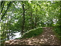 Path to the river, Luncarty