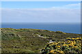 Path to Findon Ness