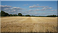 Harvested field at Honiley