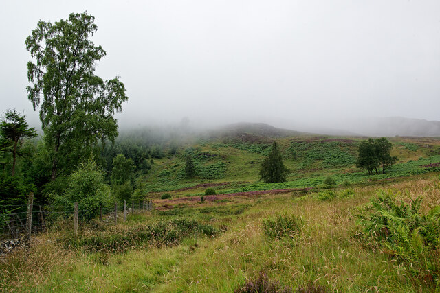 The end of the woodland on the Ben Vrackie track