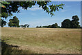 Grazing land by Woodloes Lane