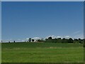 View towards Avebury Truslow