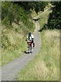 NZ0645 : Cyclist on the Waskerley Way by Oliver Dixon