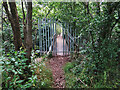 Footbridge over the Garrion Burn, Law