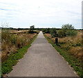 The Timeline, Frickley Country Park