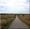 The Timeline, Frickley Country Park