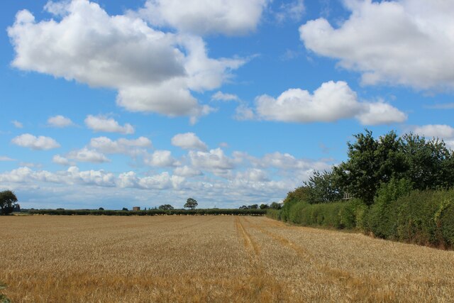 Field off Warehill Lane