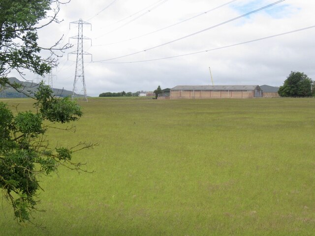 Field, West Edge