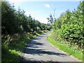 Woodhouse Roadside Plantations