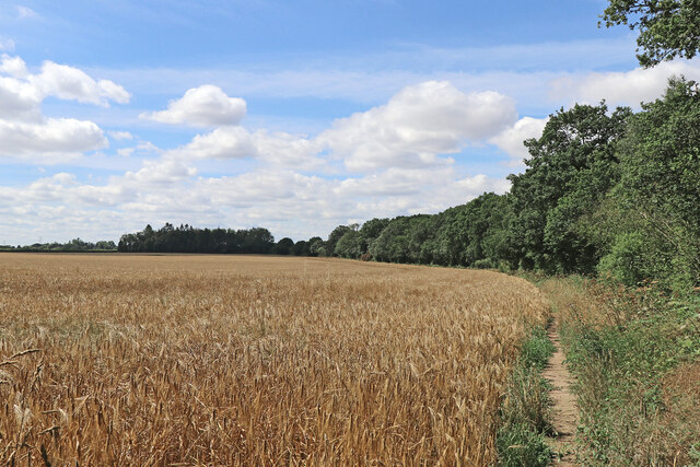 Barley field south of Kingswood in Staffordshire
