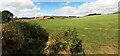 Fields SW of Castlerigg Farm