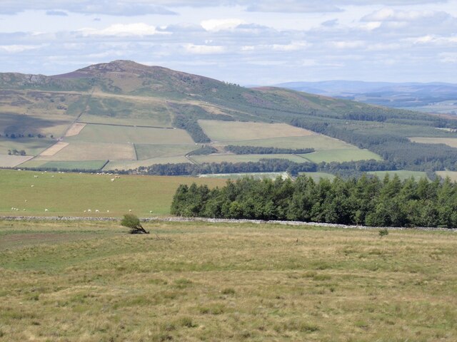 View towards Rubers Law from Faw Hill